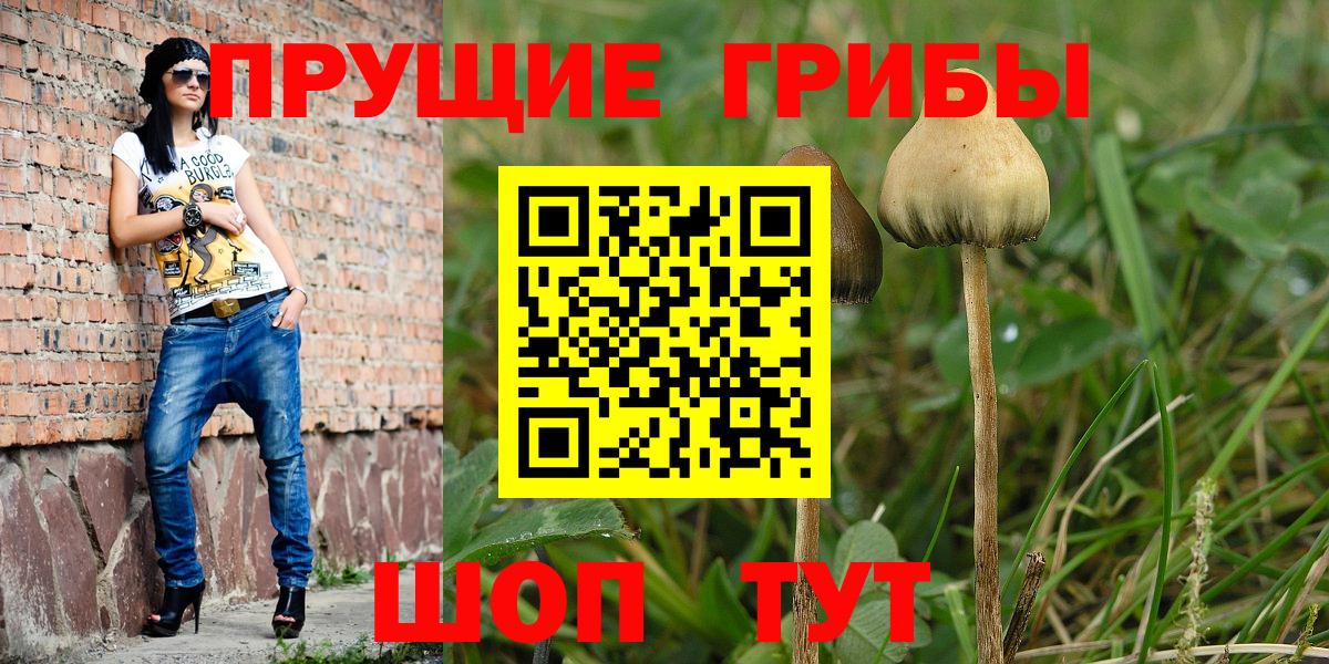 Галлюциногенные грибы мухоморы  Вход с VPN  Галлюциногенные грибы Cubensis  Ревда 